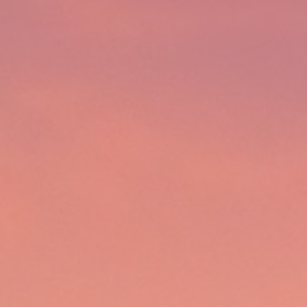 Meet your Posher, Sharada